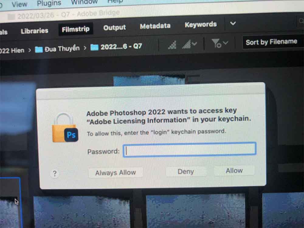 sua loi adobe photoshop 2022 wants to accsess key adobe licensing information in your keychain 1